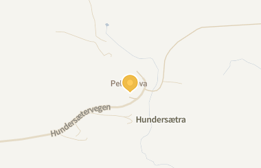 Kart med med nål på restauranten